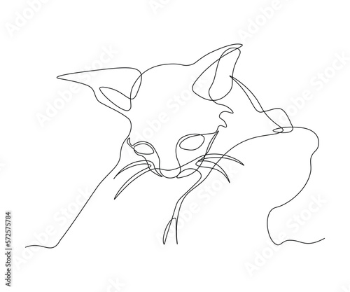a poor little kitten in the hands of a person, kindness to homeless animals, hand-drawn, continuous monoline, drawing in one line