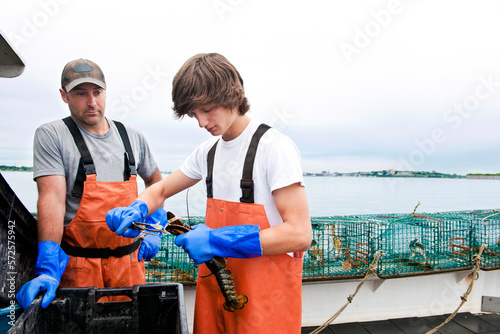 Lobsterman watches as apprentice bands lobster claws on boat in Casco Bay photo