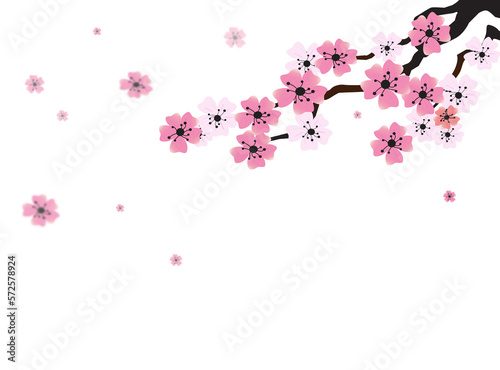 Pink Sakura flower isolated on transparent background. Cherry blossom PNG.