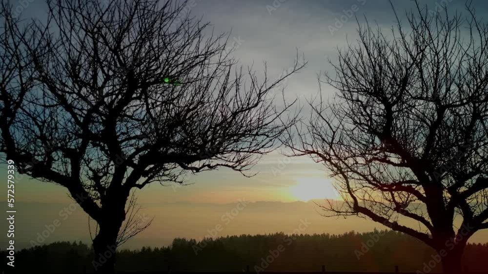 Drone flying backwards during sunrise through tree silhouettes. Drone flying backwards during sunrise through tree silhouettes.