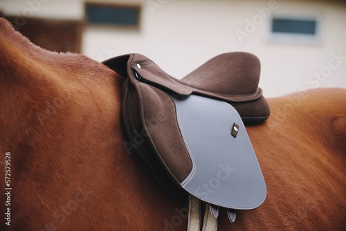 brown jump saddle on a red horse front