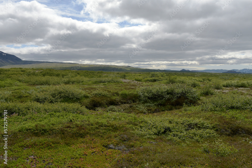 Fototapeta premium Thingvellir National Park in Iceland