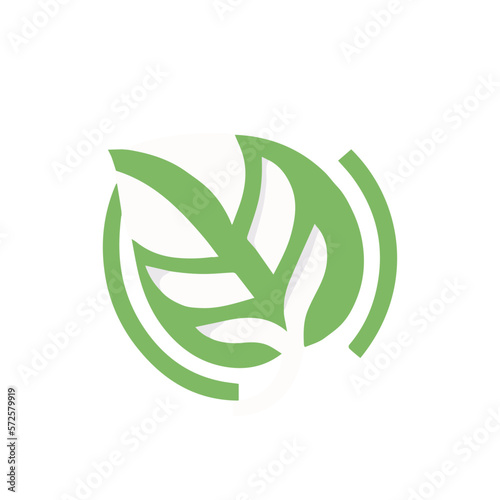 Leaf And flower vector