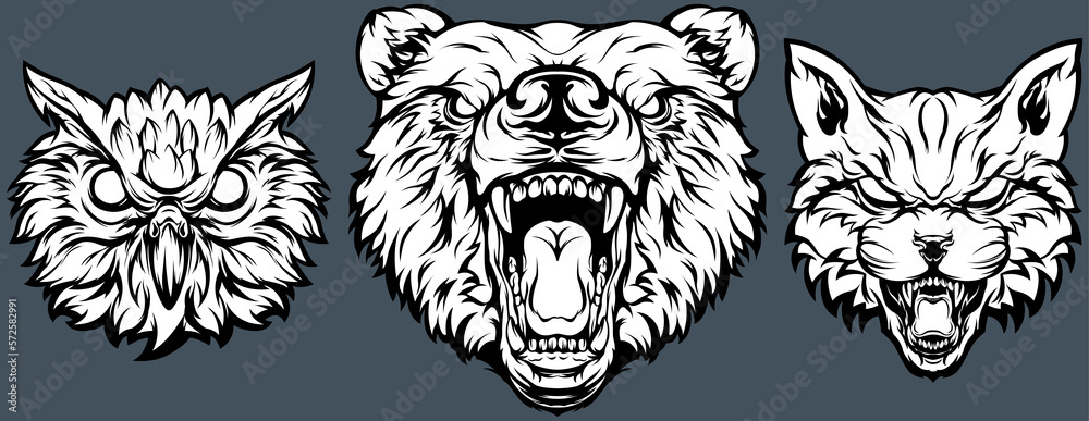 Head of bear, cat, owl. Abstract character illustrations. Graphic logo design template for emblem. Image of portraits. Head of bear, cat, owl. Abstract character illustrations. Graphic logo design template for emblem. Image of portraits.
