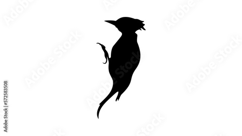 woodpecker silhouette