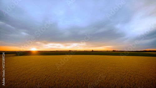 Aerial View of Peaceful Farm Land With Wheat Grain Crops At Sunrise or Sunset Growing Food in the Country Side With Wide-Angle Dramatic Colorful Twilight Partly Cloudy Sky Produced by Generative AI 