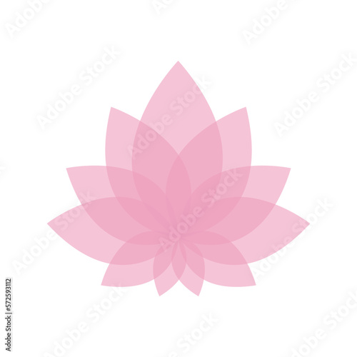 Pink lotus flower isolated on white background