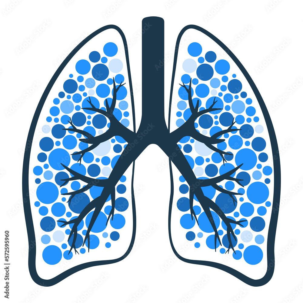 Fotografía lung illustration