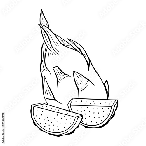 Pitaya fruits outline, drawing monochrome illustration. Summer fruits for healthy lifestyle. Vector illustration