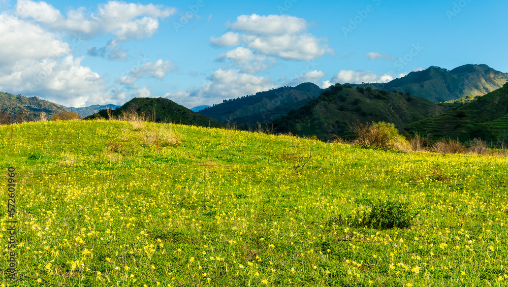 Panoramic view of idyllic mountain scenery in the Alps with fresh green meadows blooming on a beautiful sunny spring day