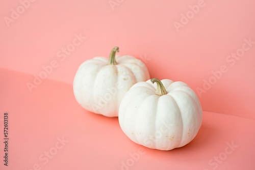 White pumpkins on pink. Autumnal or Halloween concept.