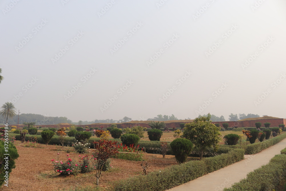 Fototapeta premium v