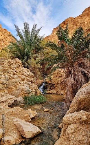 Stream flowing through Chebika Oasis, Tunisia