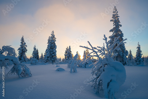 Sunset in the northern forest