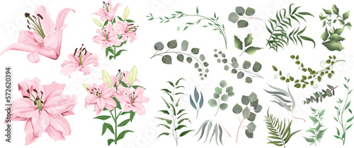 Vector grass and flower set. Eucalyptus, different plants and leaves. Pink lilies , branches with flowers