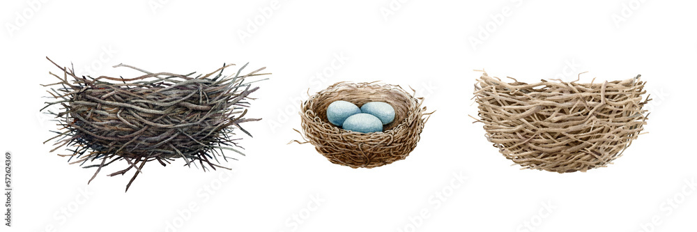 Bird nest watercolor illustration set. Hand drawn different birds nests made of sticks, branches, straw. Natural wildlife elements. Bird houses for nesting and laying. White background - obrazy, fototapety, plakaty 