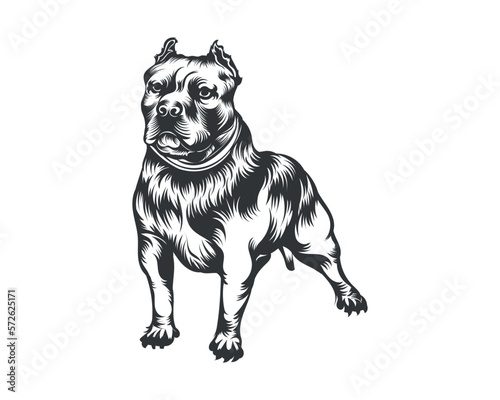 American Bully Dog Vector Illustration, Bully Dog Vector Black on White Background