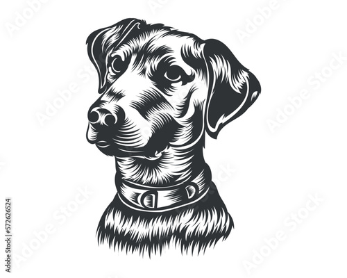 Dobermann Dog Breed Vector Illustration White Background