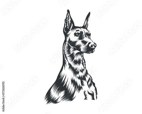 Dobermann Dog Breed Vector Illustration White Background