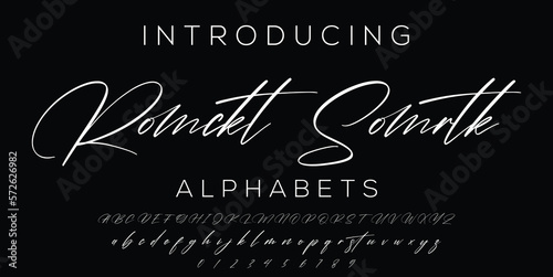 Signature Font Calligraphy Logotype Script Brush Font Type Font lettering handwritten