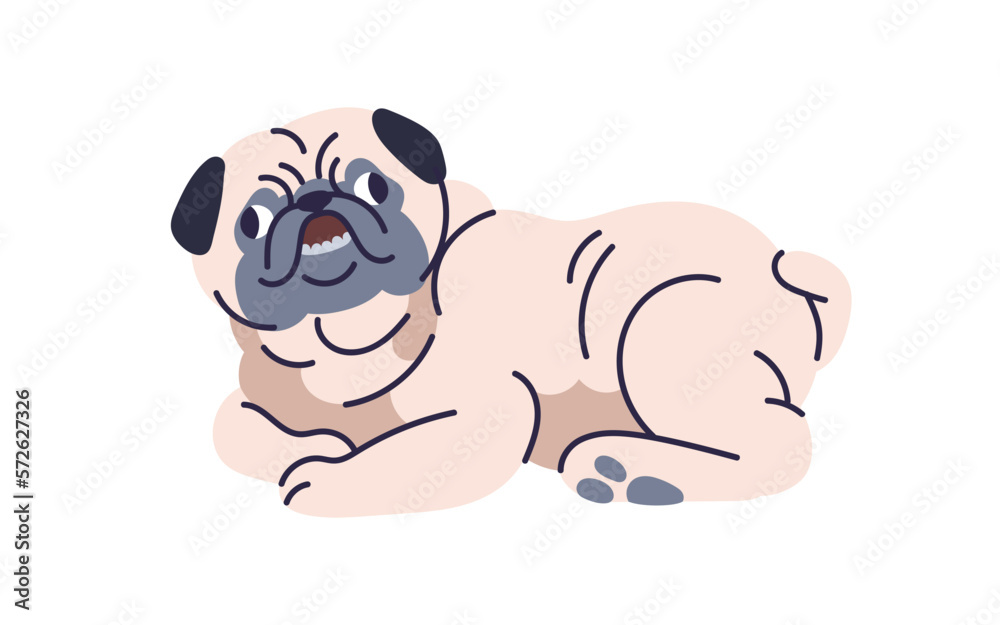 Cute dog, pug breed. Funny puppy, small canine animal lying. Little purebred doggy, pup. Adorable lovely amusing wrinkled pet relaxing. Flat vector illustration isolated on white background