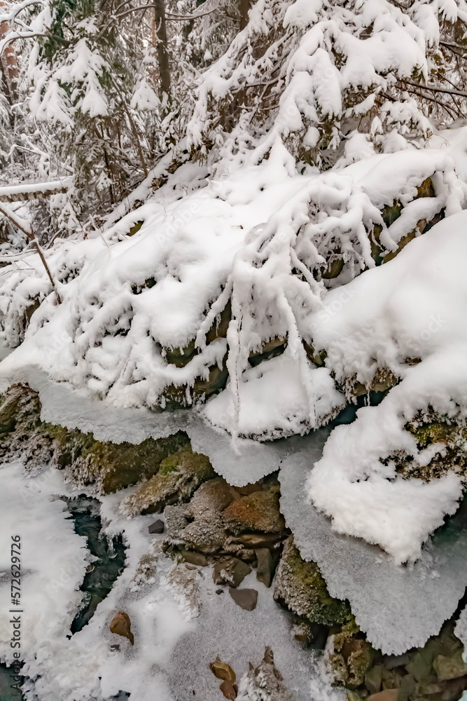 Winter landscape with snow-covered trees, a river in the forest Winter landscape with snow-covered trees, a river in the forest