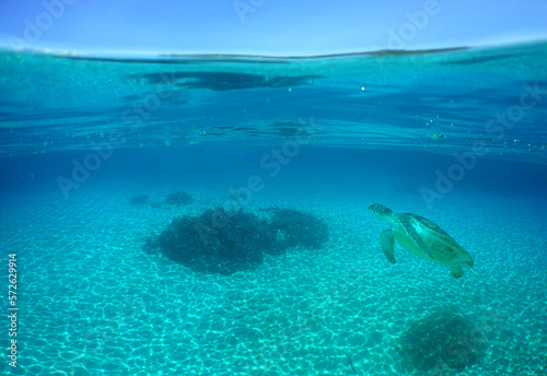 a beautiful underwater scene of an island in the caribbean sea with crystal clear water