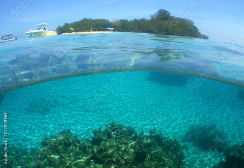 Fototapeta Naklejka Na Ścianę i Meble -  a beautiful underwater scene of an island in the caribbean sea with crystal clear water