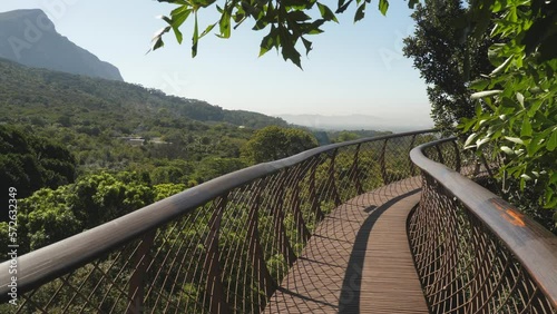 Commanding view of Table Mountain from Tree Canopy Walkway, Cape Town
