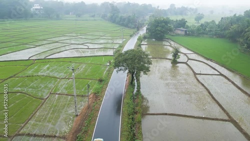 Car through a road in paddy fields in Mahiyangana on a rainy day. Sri Lanka. Aerial view photo