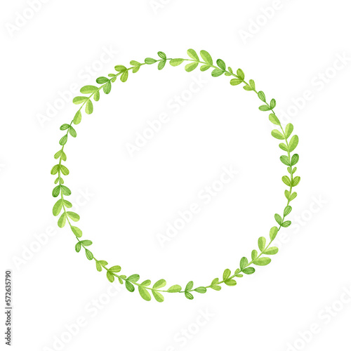 Watercolor wreath of greenery. Summer herbals circle frame.  Isolated on a white background.