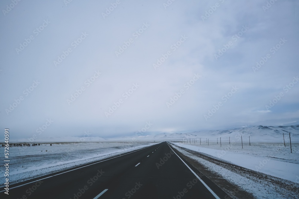 Fototapeta premium road in the fog