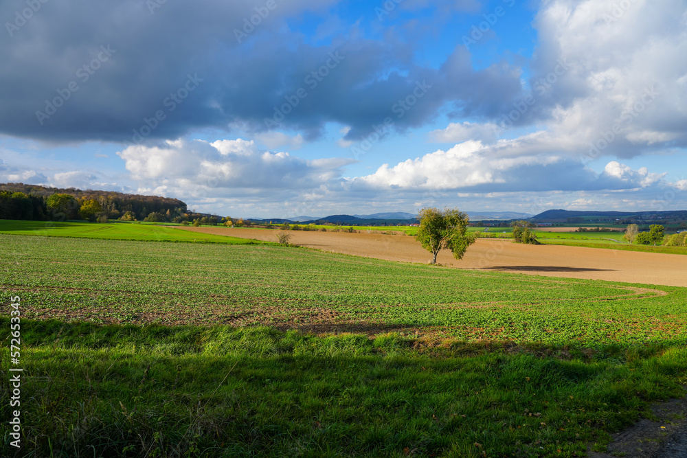 Landscape at the Goldbergsee in the district of Kulmbach. Nature with fields and meadows.
