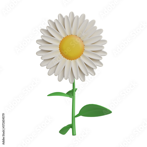 3D rendering. daisy on a white background.