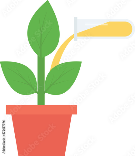 experiment plant  and growth