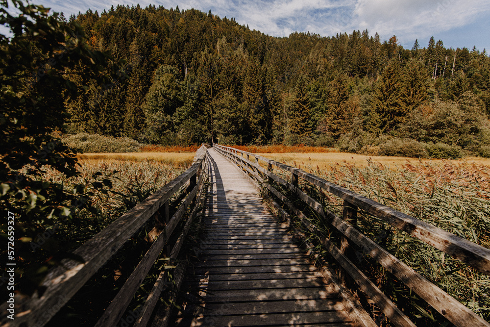Fototapeta premium Slowenien - Naturreservat Zelenci