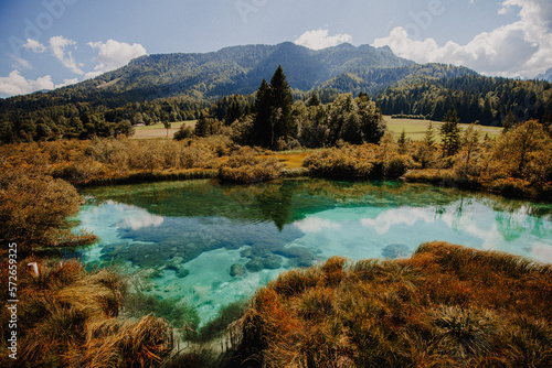 Slowenien - türkisfarbenen Quellsee im Naturreservat Zelenci