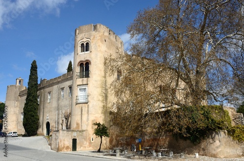 Castelo de Alvito, Alentejo photo