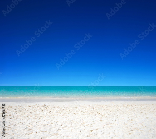 beach and tropical sea . nature background