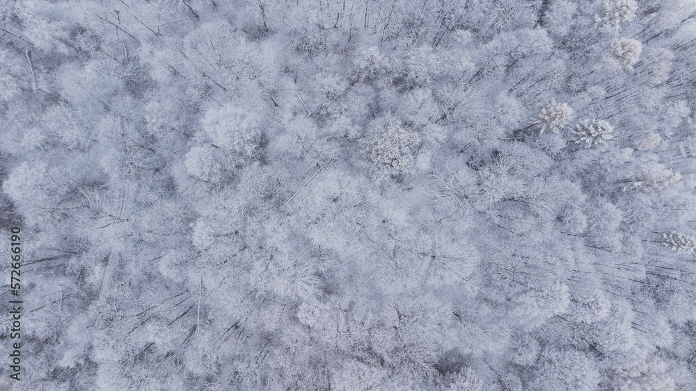 Snowy untouched forest in the Beskydy mountains from an aerial photo in the east of the Czech Republic. White landscape