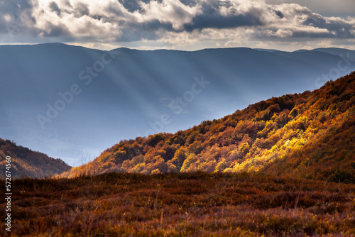 Fototapeta Naklejka Na Ścianę i Meble -  Colorful autumn forest, Bieszczady Mountains, Poland