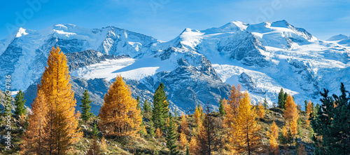 Goldener Herbst im Engadin, Morteratschgletscher, Berninagruppe, Pontresina, Engadin, Graubünden, Schweiz 