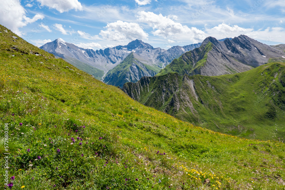 In the foreground the alpine meadow with flowers and herbs. In the background the mountain peaks visible from the Alp Trida Sattel in Austria towards Switzerland. And a beautiful cloudy sky.