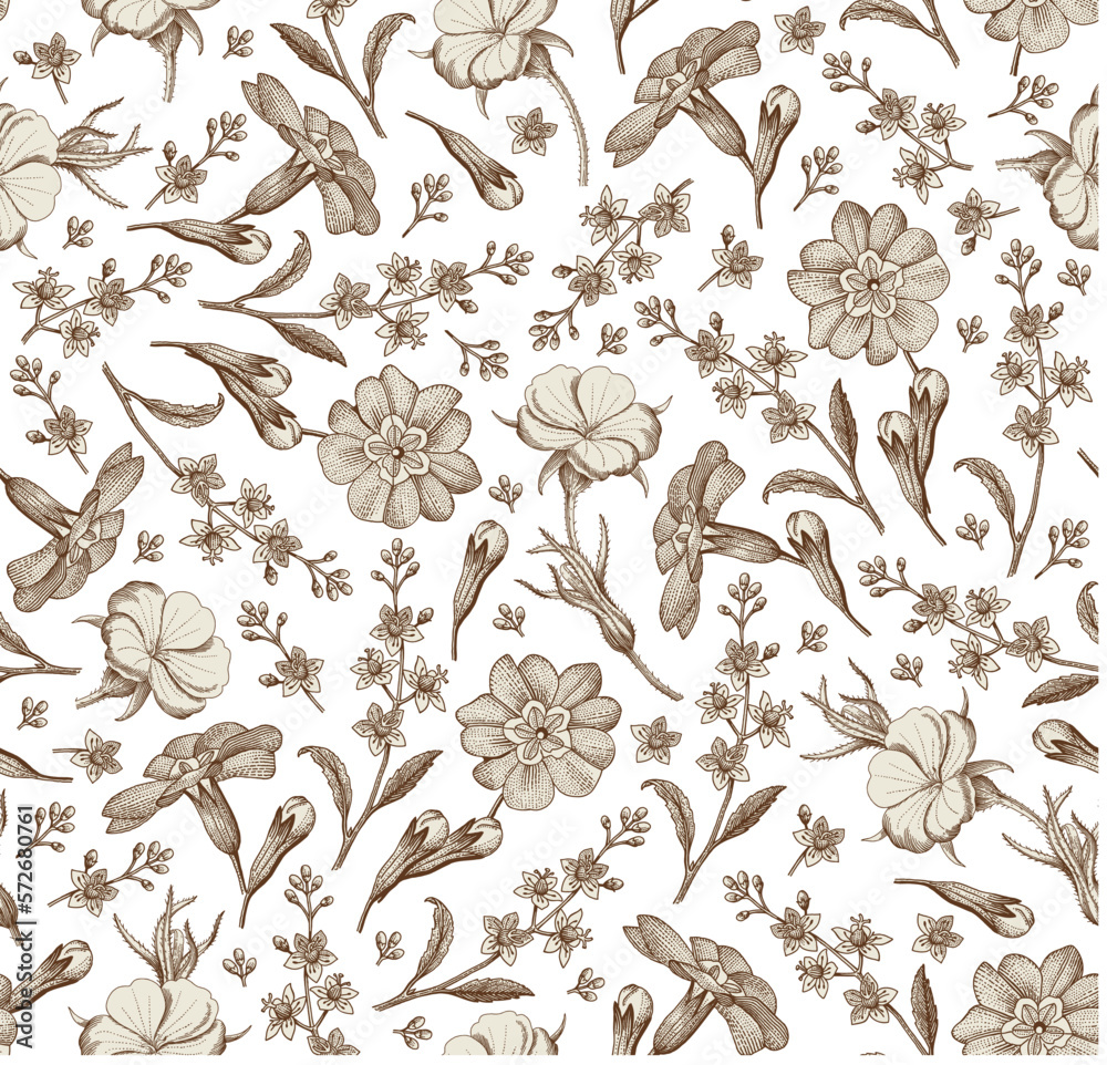Fototapeta premium Seamless pattern. Realistic blooming isolated flowers Vintage fabric background. Beautiful Agrostemma Primrose Croton wildflowers. Wallpaper baroque. Drawing engraving. Vector victorian Illustration 