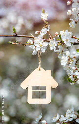 symbol of the house among the white cherry blossoms  © licvin