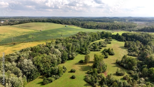 Green fields with trees and rolling hills in American farmland
