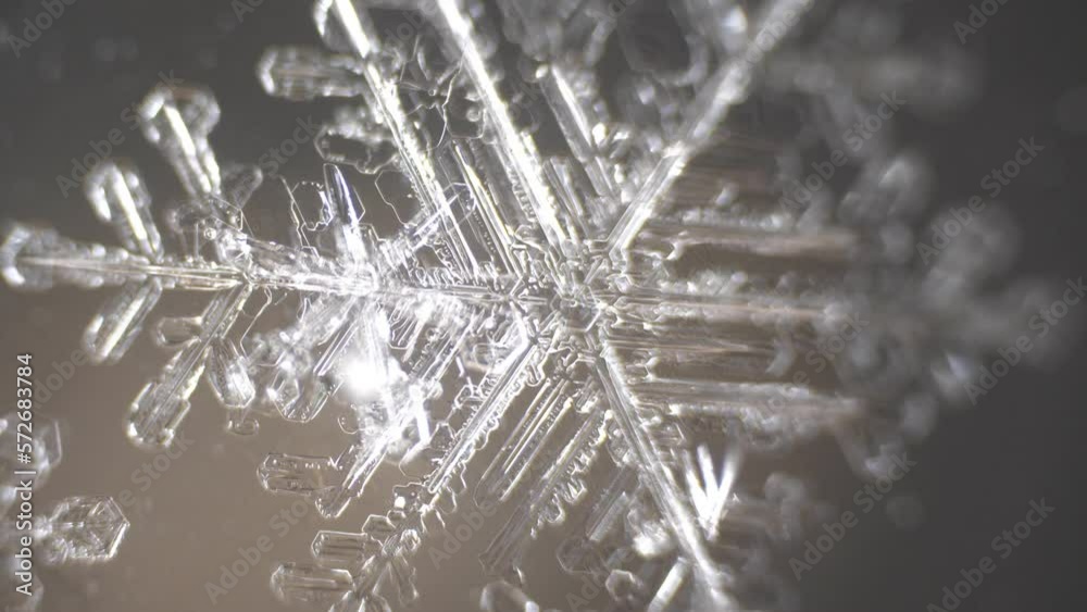 A sparkling snowflake is melting. Top view under a microscope.