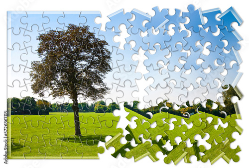 Lone tree in a green meadow - environmental conservation concept in jigsaw puzzle shape photo