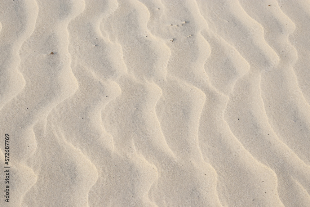 Fototapeta premium natural texture of beige beach sand