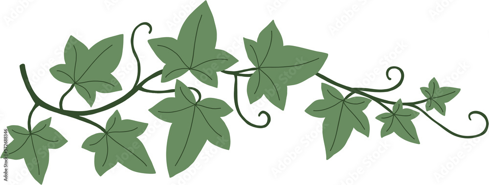 Simplicity ivy freehand drawing
Simplicity ivy freehand drawing